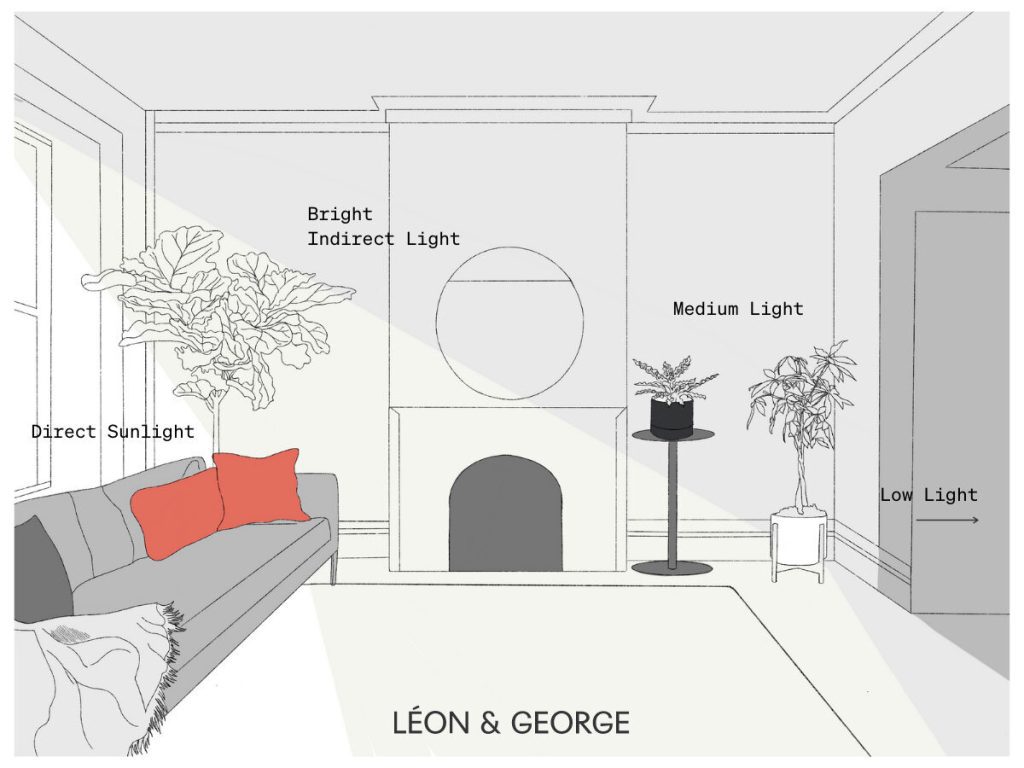 garden room perfect positioning sunlight