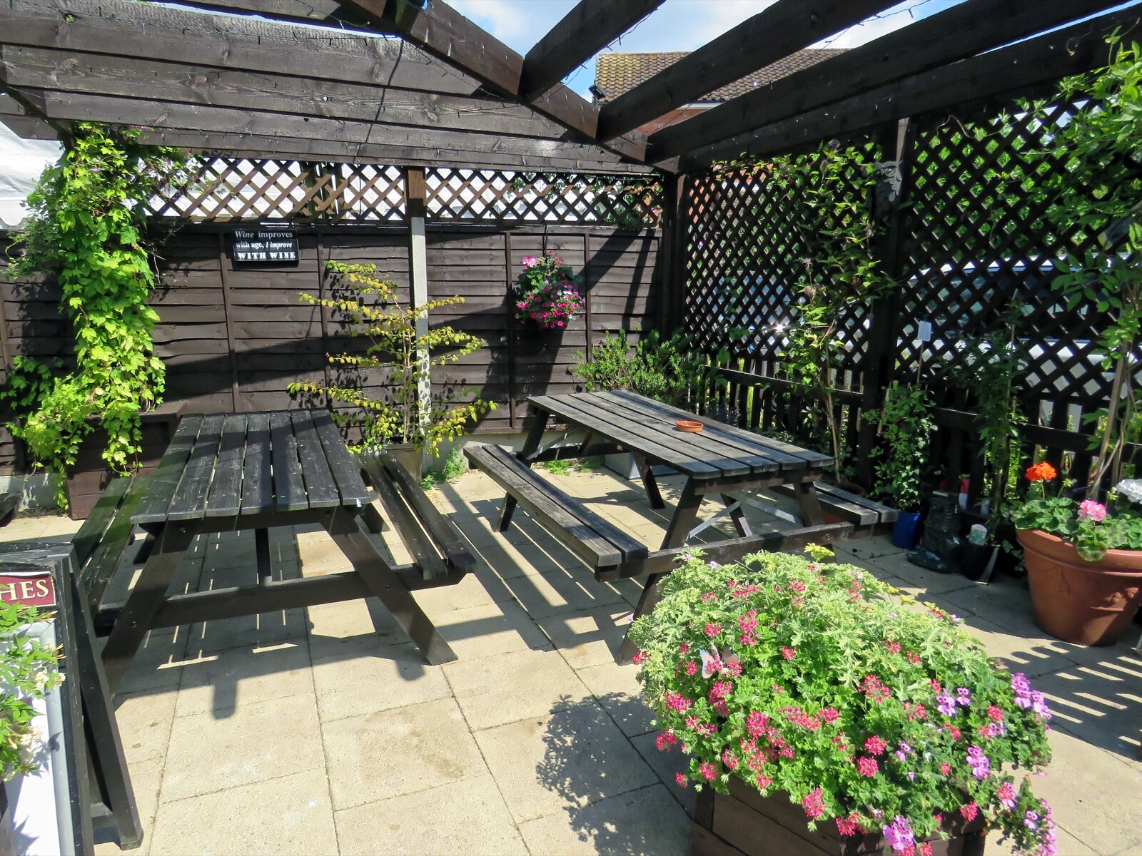 Trellis fixed above timber fence panels with climbing plants growing through it