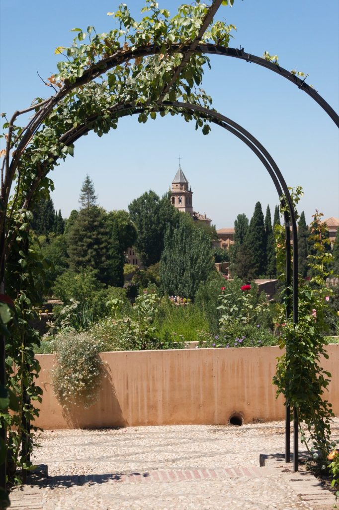 Metal garden arch covered in climbing roses over a gravel path