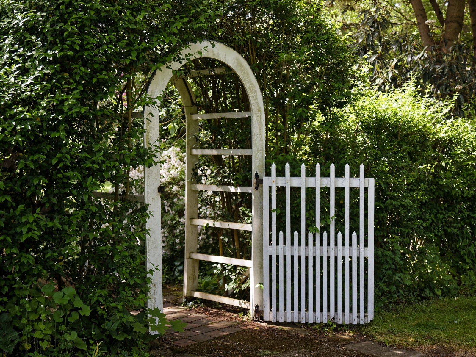 White wooden picket gate beside a white arch set in a green hedge