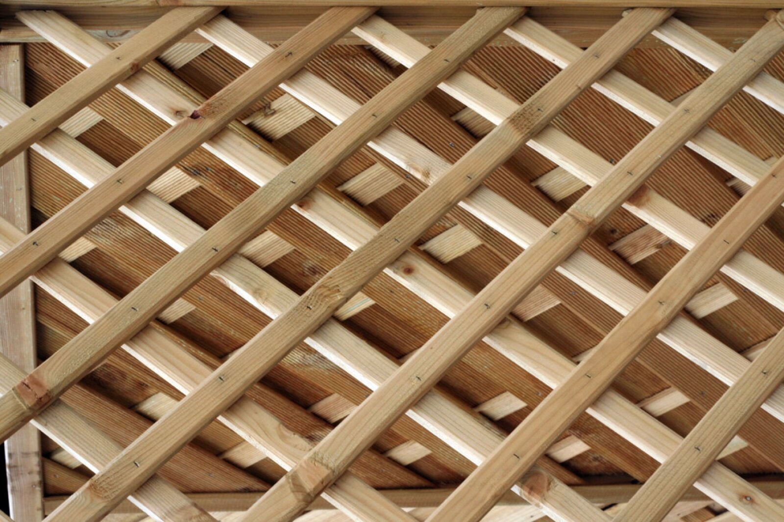 Close-up of a new pressure-treated softwood diamond lattice garden trellis panel