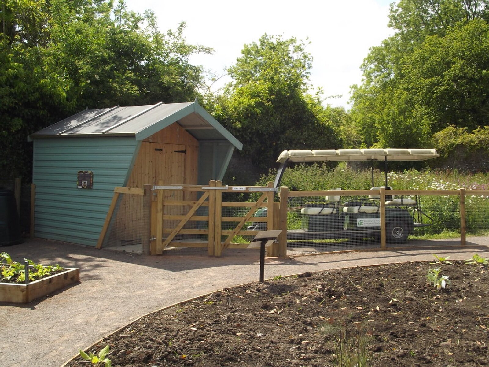 A small blue and natural timber apex shed on a paved path beside a garden bed