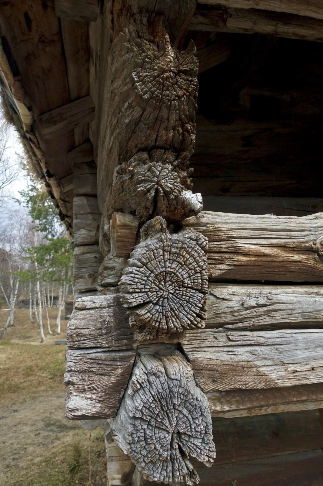 Close-up of interlocking notched log corner joints on an old timber building at Oppdal open-air museum, Norway
