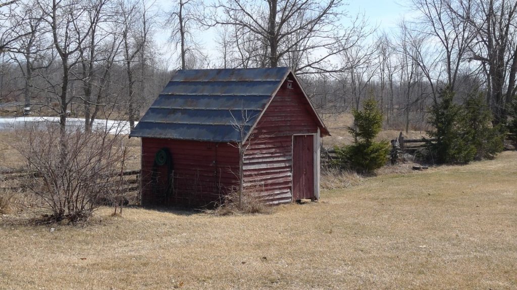 Small red timber apex shed with a single door and a metal roof